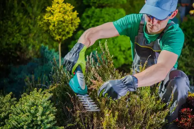 landscaping services South Lebanon